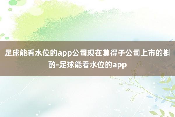 足球能看水位的app公司现在莫得子公司上市的斟酌-足球能看水位的app