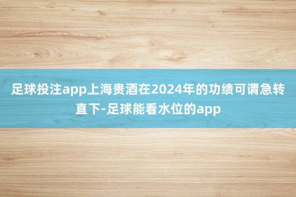 足球投注app上海贵酒在2024年的功绩可谓急转直下-足球能看水位的app