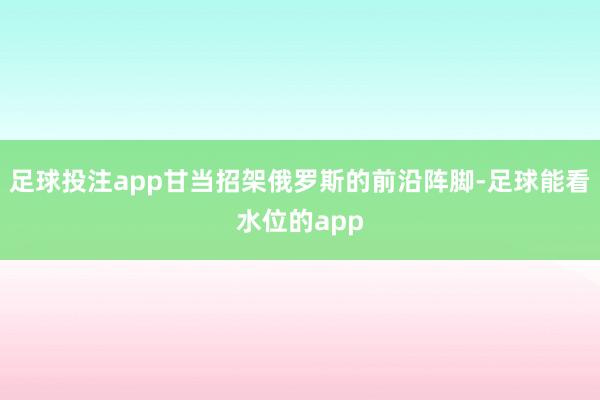 足球投注app甘当招架俄罗斯的前沿阵脚-足球能看水位的app