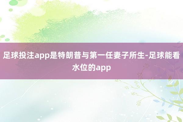 足球投注app是特朗普与第一任妻子所生-足球能看水位的app