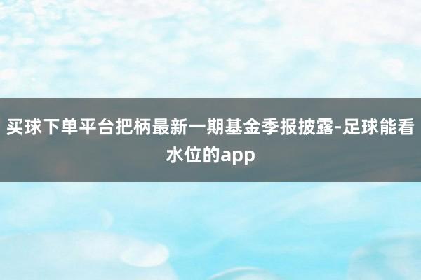 买球下单平台把柄最新一期基金季报披露-足球能看水位的app