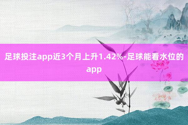 足球投注app近3个月上升1.42%-足球能看水位的app