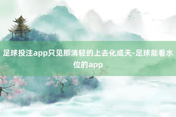 足球投注app只见那清轻的上去化成天-足球能看水位的app