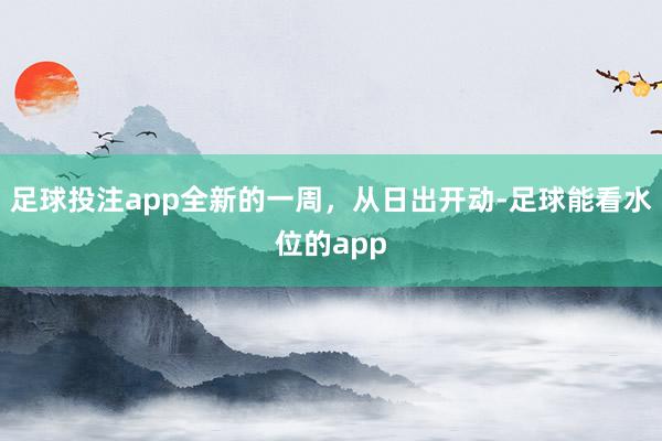 足球投注app全新的一周，从日出开动-足球能看水位的app