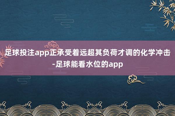 足球投注app正承受着远超其负荷才调的化学冲击-足球能看水位的app