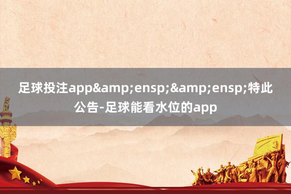 足球投注app  特此公告-足球能看水位的app