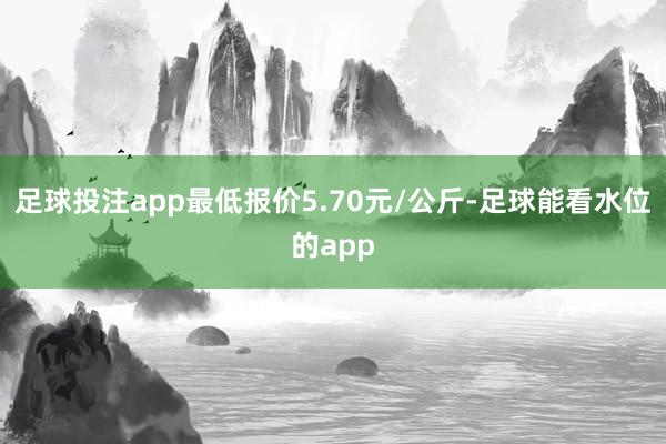 足球投注app最低报价5.70元/公斤-足球能看水位的app