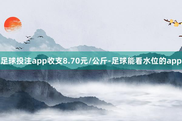 足球投注app收支8.70元/公斤-足球能看水位的app