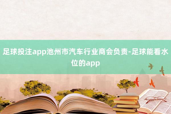 足球投注app池州市汽车行业商会负责-足球能看水位的app