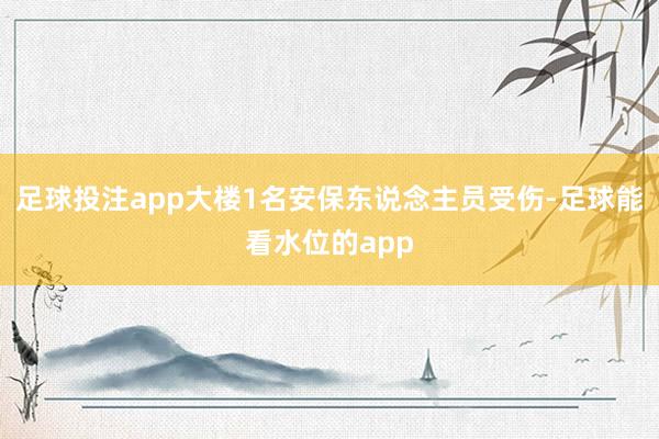 足球投注app大楼1名安保东说念主员受伤-足球能看水位的app