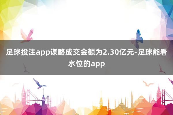 足球投注app谋略成交金额为2.30亿元-足球能看水位的app